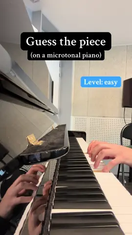 1/16-tone piano part 10 Any suggestion for part 11?  #microtonal #piano #guessthesong #classicalmusic #musiciansoftiktok 