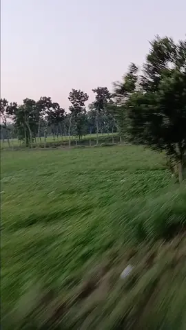 #creatorsearchinsights  #trainlovers🚂🚃🚃🚃 