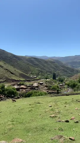 MR SIA CAMPAIGN 2025