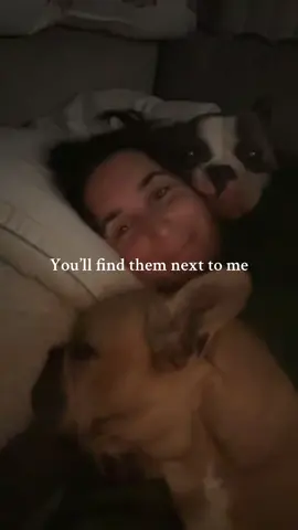 They’d prefer to be inside my skin if they could 😂 #dogsoftiktok #girlandherdog #americanbully #neckcuddles