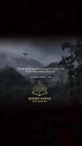 Kalbinize dokunacak daha fazla ayet için sayfamızı takip edebilirsiniz  #Allah #Ayet #İslamiPaylaşım #kesfet #kuranikerim 