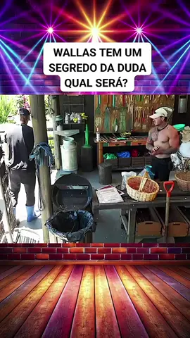 #afazenda 
