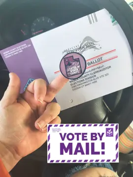 GO VOTE 🗳️📬 