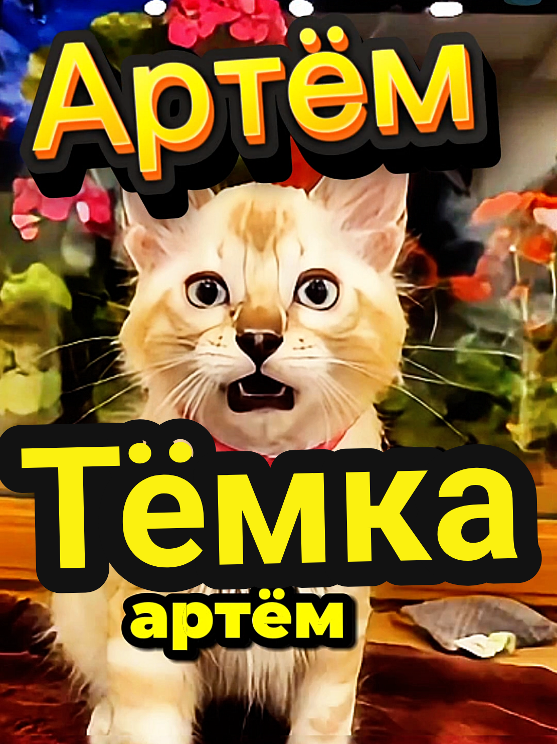 #CapCut #хитрыйкот #котытролли #озвучкаогоньваще #смешныекоты 