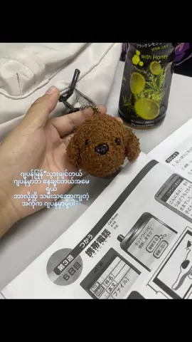 ဘာညာပေါ့..🤪