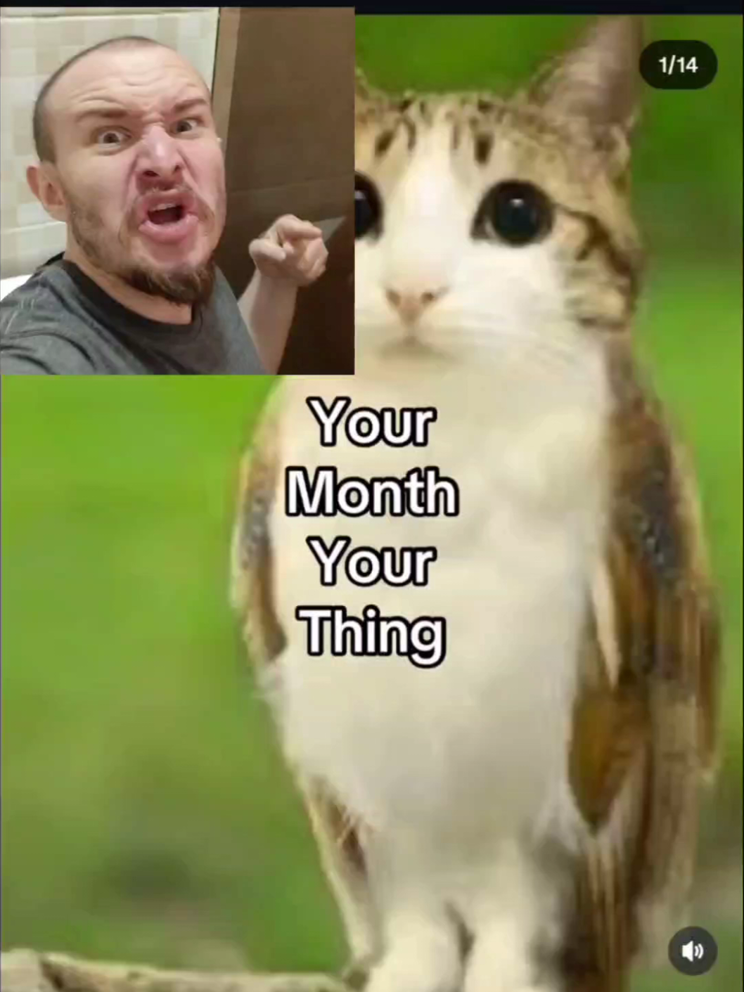 Seu mês sua coisa 💀 #react 