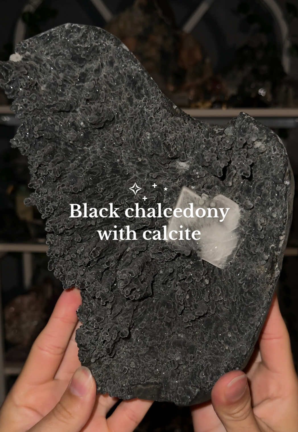 Longer video of this piece as requested. Dark black chalcedony stalactites with a coated calcite. One of my oldest pieces in my collection. 🖤 #crystalcollection #crystaltok #rocksandminerals #xyzbca #blackchalcedony 