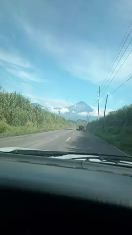 #502gt🇬🇹 #502🇬🇹 #marcoantoniosolis #adiosqueridaesposa #videoviral 