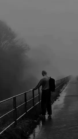 #Estamos solos, nadie quiere acompañarnos en el camino  #ترجمة_الإسبانية 