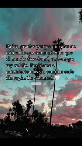 Padre, gracias porque mi valor no está en lo que tengo ni en lo que el mundo dice de mí, sino en que soy tu hijo. Enséñame a entenderte más y a caminar cada día según Tu voluntad.#Diosesfiel #brayanG #paratiiiiiiiiiiii 🤍🕊️