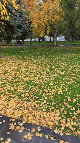 #قيصري_مين_مقيم_بقيصري #مشاهدات #اكسبلور #مالي_خلق_احط_هاشتاقات #قيصري 