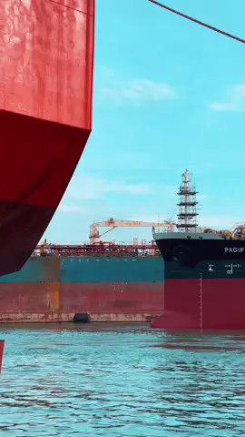 #tiktok #trending #viral #vedio #fyp 