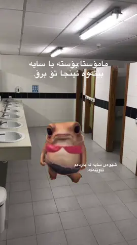 #Meme #MemeCut#ranginhighschool مامۆستا گیان سایەی چی؟🥲😂