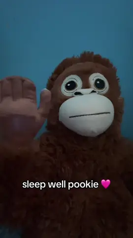 gn pookies 🩷 #monkey #ilove #foryou #pookie 