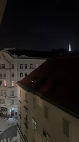 A TikTok must in Vienna 