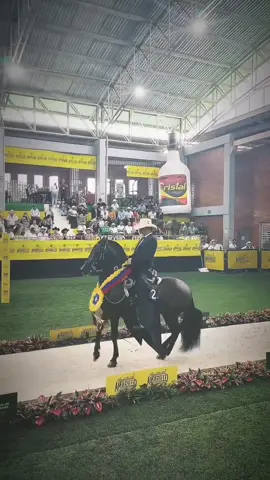 pull that video up #joerogan #horse #fyp 