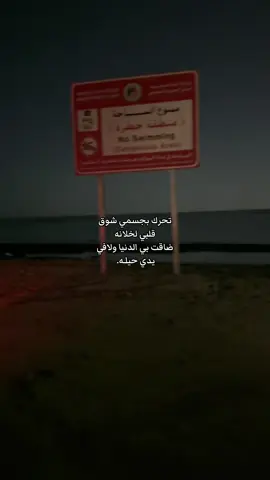 #اكسبلورexplore #📸 