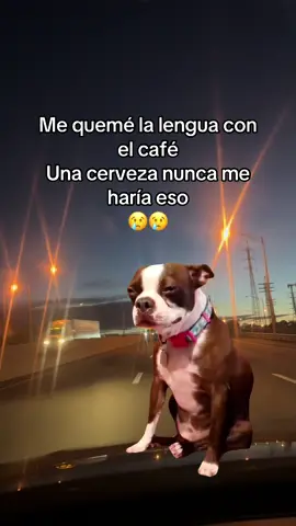 #fyp #fyp #fyp #fyp #capcut 