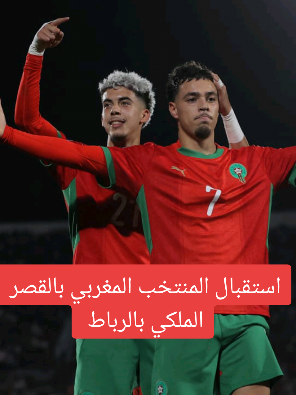 استقبال المنتخب المغربي بالقصر الملكي بالرباط  #المنتخب_المغربي #المغرب🇲🇦 #maroc  #morocco #rabat 