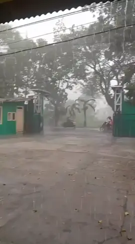 Detik-detik Pohon Raksasa Tumbang Di Jalan Raya Bandung - Cianjur #fypシ゚ #fypage #viralkan #hujan #viralkan 