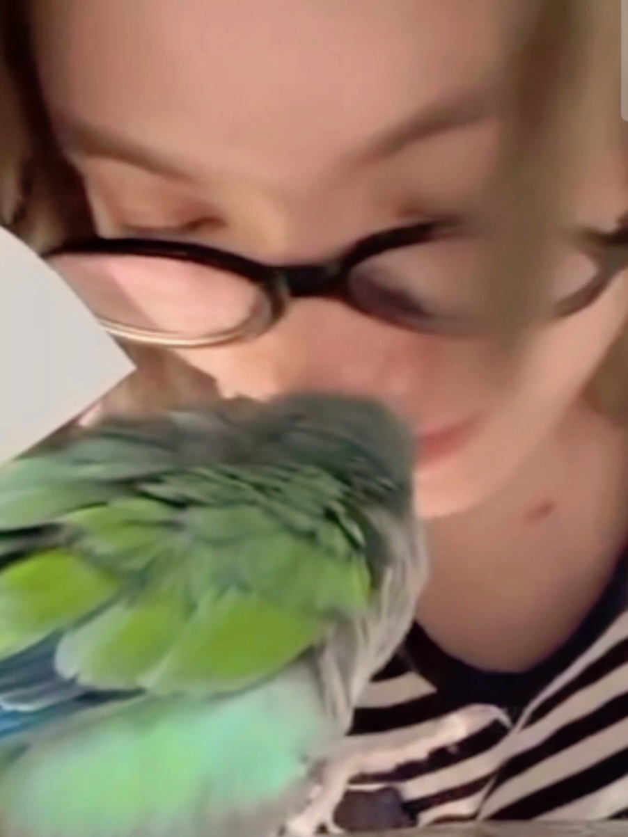 ยายรักหนูน้าน้องอาบูชิเค้นคอง🦜🤍🥲 หนูไปเป็นดาวลูกไก่อยู่ในอวกาศส่องแสงสว่างอยู่บนนั้นตลอดไปนะ🤍✨️#abu#ออมกรณ์นภัส #Ormkornnaphat #abuchickenstory #abuchicken 