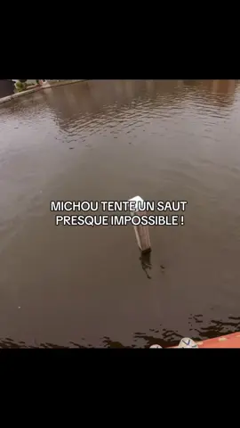 @Charles & Mélanie #charlesetmélanie #michou #fyp 