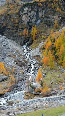 #fyp #switzerland #nature #🍂 