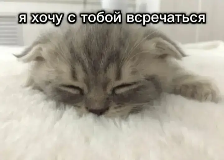 #яйца #почеши #мне #яйцапочешимне #рек #Яйцяпочешимне Яйцяпочешимне#рекомендации 