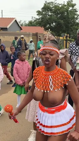 #imbongi #amatshitshi #viralvideos #umhlonyane #isixhosa 