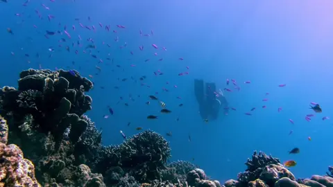 #كيمياء_البحار #اسبوع_الكيمياء #كيمياء #fypシ゚ #مشاريع_مدرسيه 