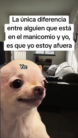 #Meme #MemeCut #CapCut #manicomio #humor 