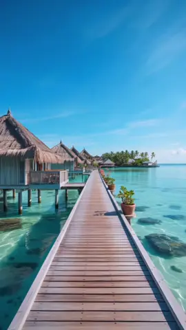 #fpyシviral #catsoftiktok #catrachaaguilar2tiktok 