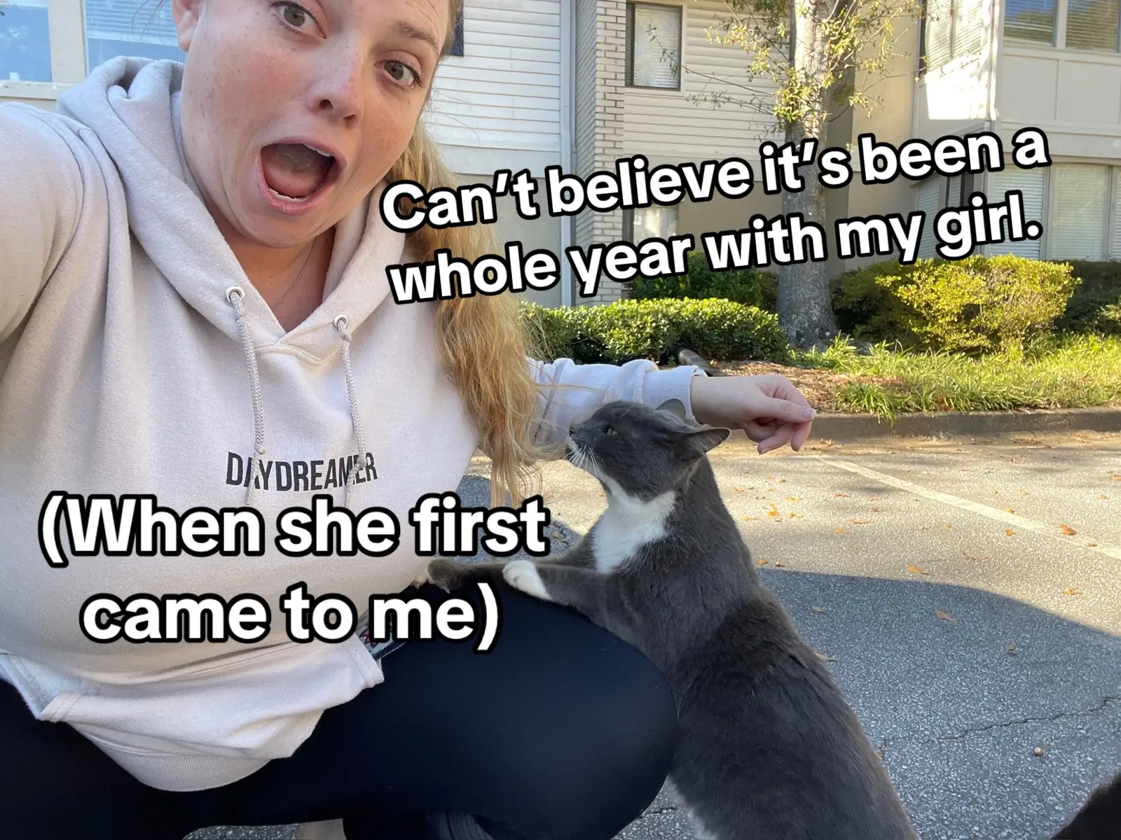 Loves: One Piece, DanDaDan, chicken pate, and laying in the sunshine. Hates: loud children, brooms, the neighborhood tomcat. #fyp #onepiececat #catsoftiktok #cat 