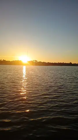 #fyp LITTLE SARASOTA BAY ROWING 🦈🦈🦈🦈🦈🦈 SUNRISE 🌄