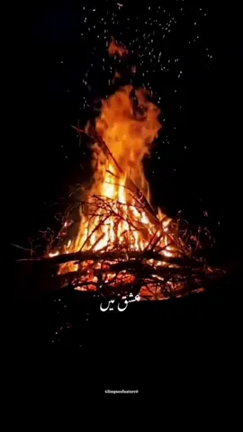 Hum Jal Rahy Hain Ishq Main - Jinki Shadi Unki Shadi Drama Ost #CapCut #ost #dramaost #jinkishadiunkishadi #glimpseofnature9 