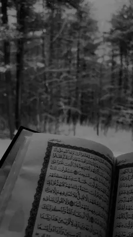#قران_كريم #تلاوة_خاشعة |دعاء. #capcut #fyp #parati 