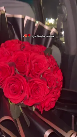 #العراق_السعوديه_الاردن_الخليج #هاشتاقات_تيك_توك_العرب❤️❤️❤️ 