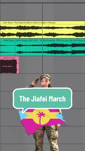 Time to defend our nation against the Labubu lady #floptropica #jiafei #starwars 