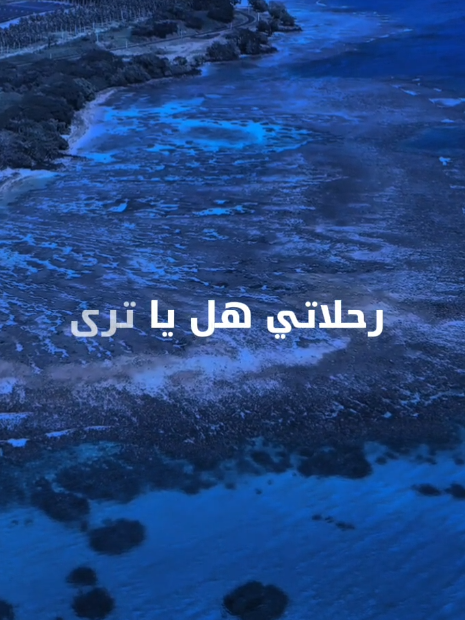 ذكريات 🥹// درايمون #سبيستون #anime #viral #foryoupage #fyp 