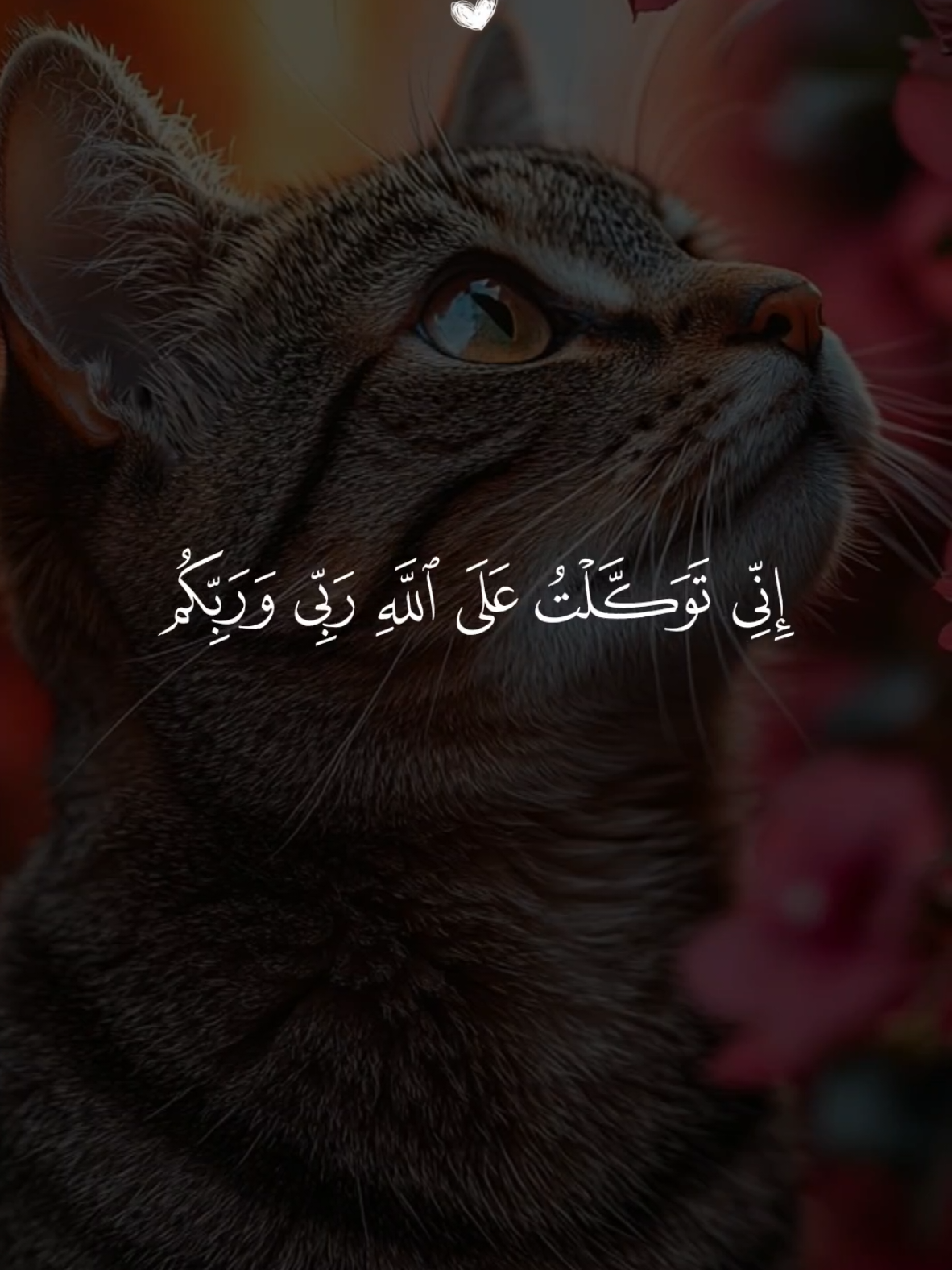 تلاوة خاشعة 🤍 القارئ ماهر المعيقلي من سورة هود 🤍🌿 #قران  #islamic_video  #quran  #alhamdulillah  #قران_كريم 