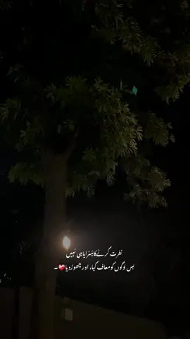 🌸💔 | #sheis_69 #fyp #fypシ゚ #viral #urdupoetry 