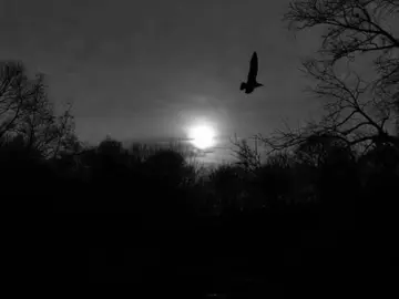 #azhaua#actives#foryou 