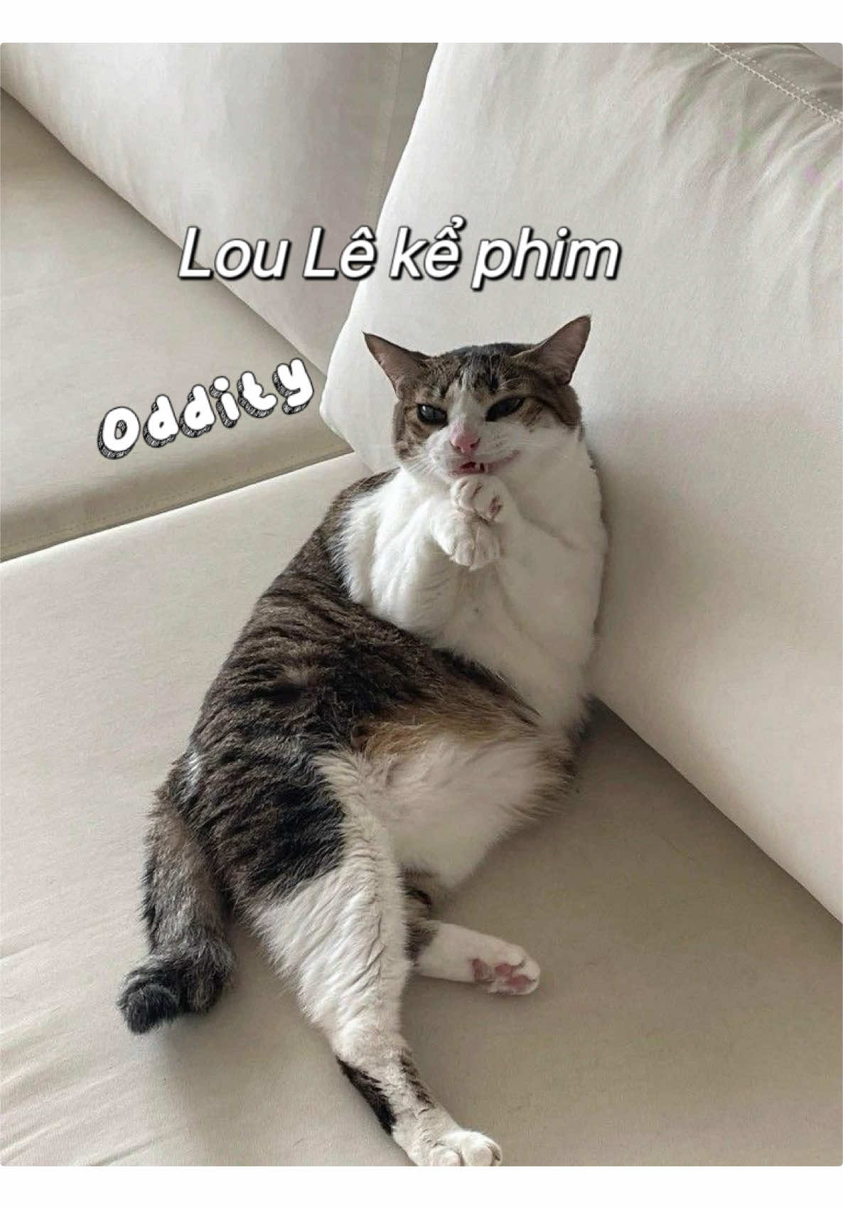 Cỡ đó #loule #oddity 