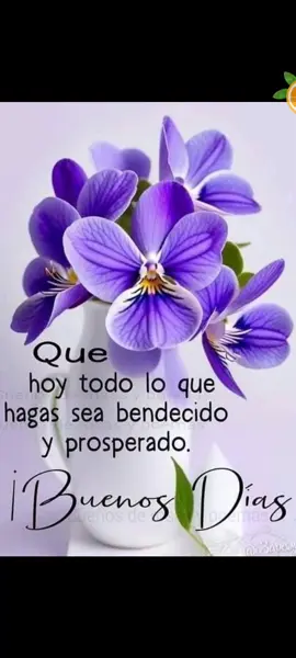 Buenos días 