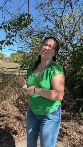 Choreographed by me… and will only ever be danced by me 🤣 #canttouchthis #dance #fun #goofy #fall 