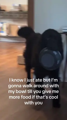 #newfie 