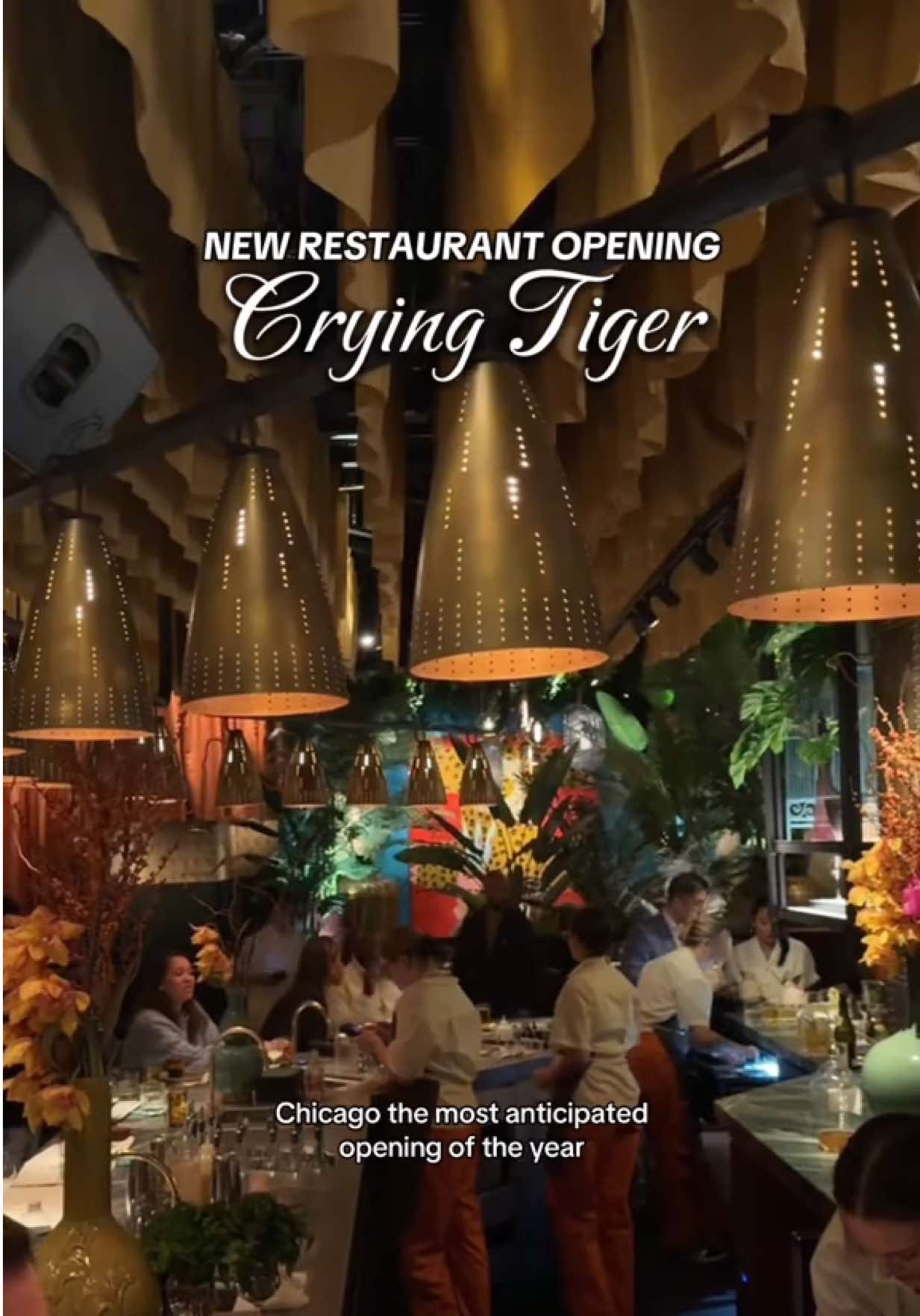 the most incredible new opening of the year! absolutely loved our visit to crying tiger 👏🏼 @Lettuce Entertain You 