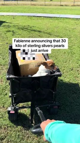 The ceo is on business #handmadejewelry #usamadejewelry #turquoisejewelry #silverjewelrypieces #thebijouxfab 