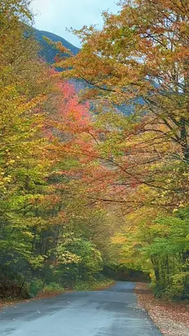 Beautiful New Hampshire #gerrigirl #fallfoliage🍁🍂 #newhampshire #backroads #autumninnewhampshire 