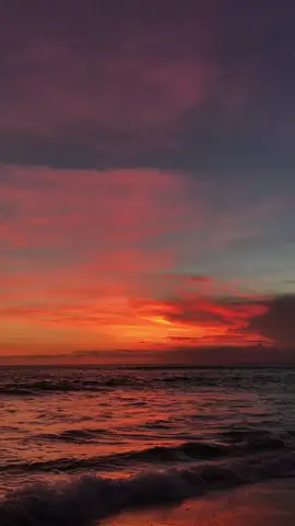 JOÃO MINEIRO E MARCIANO 🎼🎵🎼 SE EU NÃO PUDER TE ESQUECER 🎼🎵🎼 #musica #sertanejo #romantico #foryoupag #fyp 